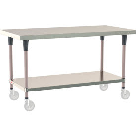TableWorx 304 Stainless Steel Mobile-Ready Table, 60 x 30", Undershelf