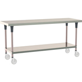 TableWorx 304 Stainless Steel Mobile-Ready Table, 72 x 24", Undershelf