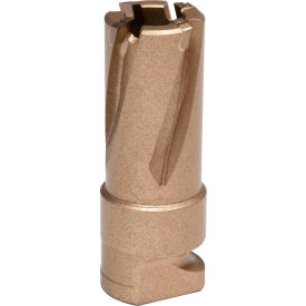 15mm Dia. x 19mm Depth of Cut Carbide Annular Cutter