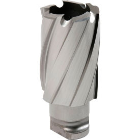 23mm Dia. x 25mm Depth of Cut Annular Cutter, RotaLoc Plus