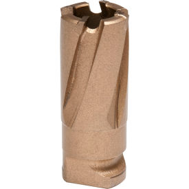 Carbide Annular Cutter, 17mm Dia. x 19mm Depth of Cut