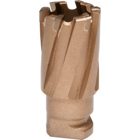 20mm Dia. x 19mm Depth of Cut RotaLoc Carbide Annular Cutter