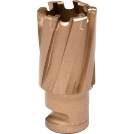 Carbide Annular Cutter, 13/16" Dia. x 3/4" Depth of Cut