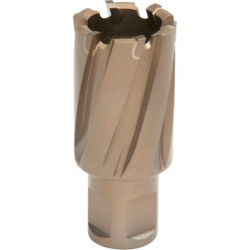1/2" Dia. x 2" Depth of Cut Copperhead Carbide Tip Annular Cutter