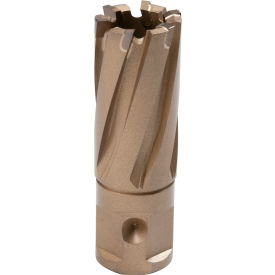 Copperhead Carbide Tip Annular Cutter, 13/16" Diameter x 1" Depth of Cut