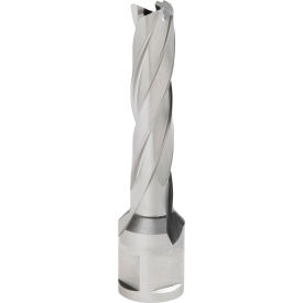 12,000-Series Annular Cutter, 31/64" Dia. x 2" Depth of Cut