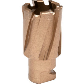 Carbide Annular Cutter, 7/8" Diameter x 3/4" Depth of Cut