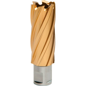 12,000-Series TiN Annular Cutter, 15/16" Dia. x 2" Depth of Cut
