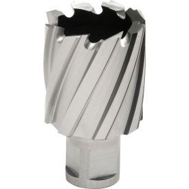 12,000-Series Annular Cutter, 1-3/8" Diameter x 1" Depth of Cut