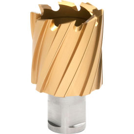 12,000-Series TiN Annular Cutter, 1-3/8" Dia. x 1" Depth of Cut