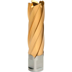 12,000-Series TiN Annular Cutter, 13/16" Dia. x 2" Depth of Cut