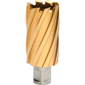 12,000-Series TiN Annular Cutter, 1-1/4" Dia. x 2" Depth of Cut