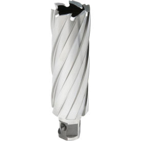 12,000-Series Annular Cutter, 30mm Dia. x 76mm Depth of Cut