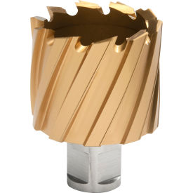 12,000-Series TiN Annular Cutter, 1-9/16" Dia. x 1" Depth of Cut