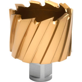 12,000-Series TiN Annular Cutter, 1-15/16" Diameter x 1" Depth of Cut