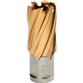 12,000-Series TiN Annular Cutter, 7/8" Dia. x 1" Depth of Cut