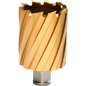 12,000-Series TiN Annular Cutter, 1-15/16" Dia. x 2" Depth of Cut