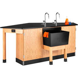 Forward Vision I Workstation with Front End Sink, 96"L x 50"W x 36"H, Red Oak