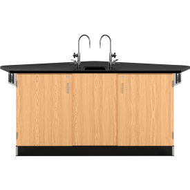 Forward Vision II Workstation with Sink, 88"L x 46"W x 36"H, Red Oak