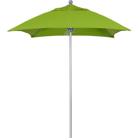6' Patio Umbrella, Silver Pole, Sunbrella 2A Macaw Fabric