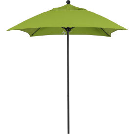 6' Patio Umbrella, Black Pole, Sunbrella 2A Macaw Fabric