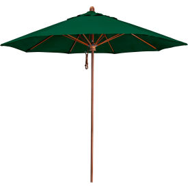 9' Round Patio Umbrella, Sunbrella 1A Forest Green Fabric
