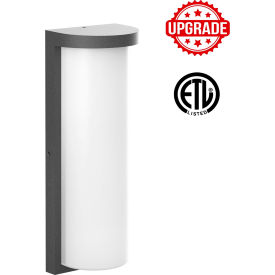 Indoor/Outdoor Wall Sconce Light Fixture, 22W, 2640 Lumens, Black