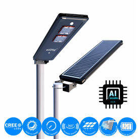 AI-Smart Cree LED Light with Detachable Pole, 10W, 5000K, 3200 Lumens, Black