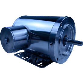 SS Washdown Duty Motor, 5/16HP, 1800 RPM, TENV, 0.7 FLA, 56C Frame