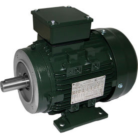 IEC Aluminum Frame Motor, B3/B14, TEFC, 1/4HP, 3600 RPM, 230/460V