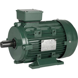 IEC Aluminum Frame Motor, B3, TEFC, 1/2HP, 3600 RPM, 230/460V