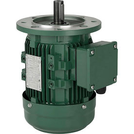 IEC Aluminum Frame Motor, B3/B5, TEFC, 3HP, 1800 RPM, 230/460V