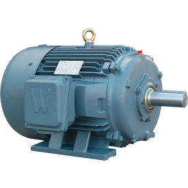 Severe Duty Motor, 50HP, 900 RPM, 230/460V, TEFC, 404T Frame