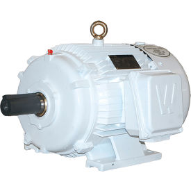 Oil Well Pump Motor, 20HP, 1200 RPM, 3PH, TEFC, 286T Frame