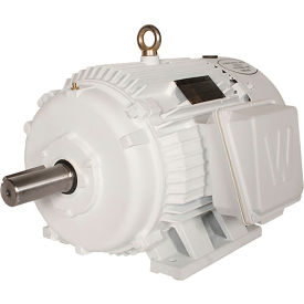 Oil Well Pump Motor, 100HP, 900 RPM, 3PH, TEFC, 447T Frame