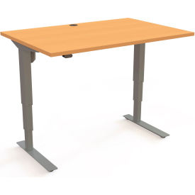 Electric Height Adjustable Desk, 47-1/4"W x 31-1/2"D, Silver Frame with Beech Top
