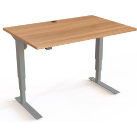Electric Height Adjustable Desk, 47-1/4"W x 31-1/2"D, Silver Frame with Walnut Top
