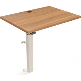 Electric Height Adjustable Desk, 31-1/2"W x 23-5/8"D, Wall Mount Frame with Walnut Top
