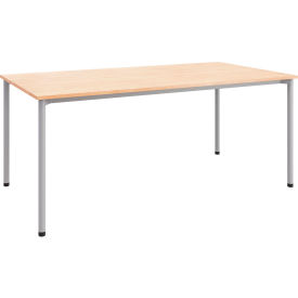 Dailey Training Table with Glides, HPL, 30"W x 60"L, Silver Frame, Maple