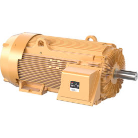 Motor 125HP, 1190RPM, 3PH, 60HZ, L449T