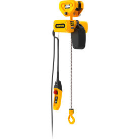 EM Mini Electric Chain Hoist with Push Trolley, 250 lb. Capacity, 20' Lift, 230V