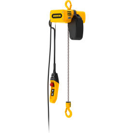 EM Mini Electric Chain Hoist, 250 lb. Capacity, 20' Lift, 32 FMP, 460V