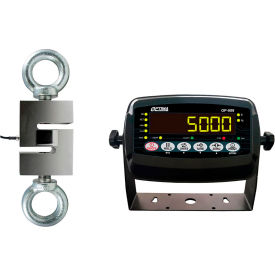 Hanging Scale with LED Indicator, 5000 lb x 0.5 lb, Black