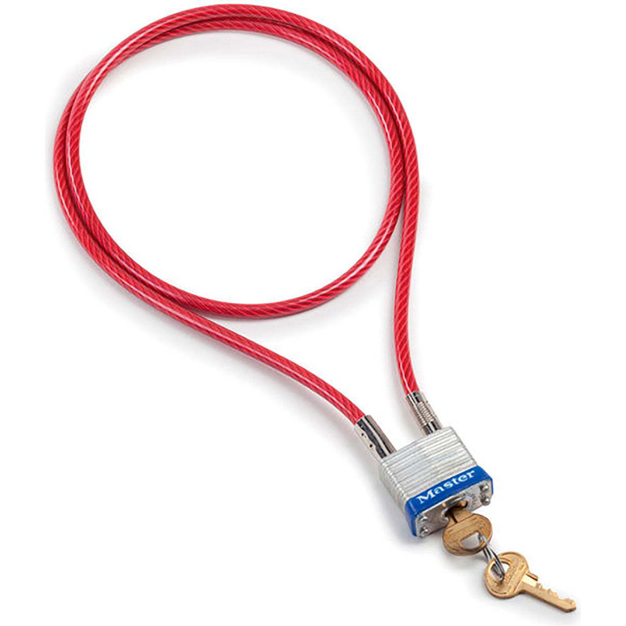 Scale Anti-Theft Device