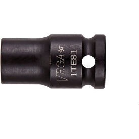 1/4" Square Drive TORX E-7 Standard Length Impact Socket