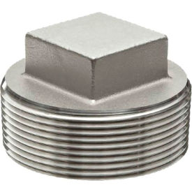 3/4" 304 Stainless Steel Square Head Cored Plug, Class 150