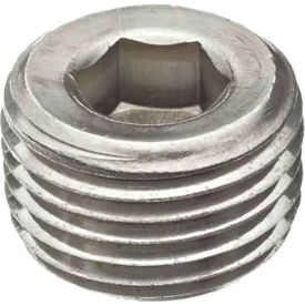 2" 316 Stainless Steel Hex Socket Plug, Class 150