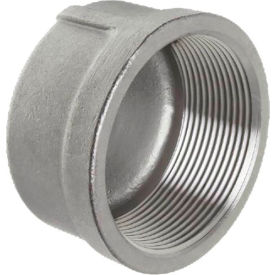2-1/2" 316 Stainless Steel Cap, Class 150
