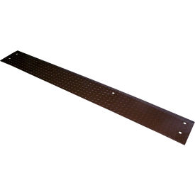 Steel Edge-O-Dock Leveler Approach Plate 12"L x 96"W