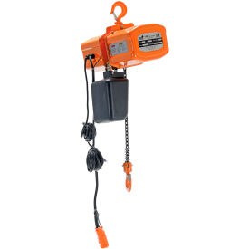 Economy Chain Hoist with Chain Container, 1000 lb Capacity, 15' Lift, 220/440V